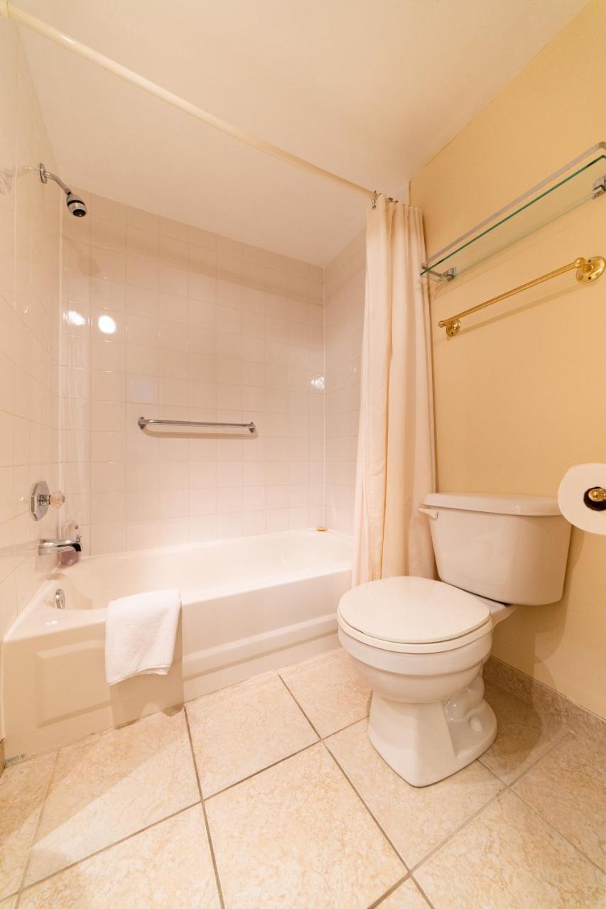 Abba Inn Guest House St. John's Dış mekan fotoğraf